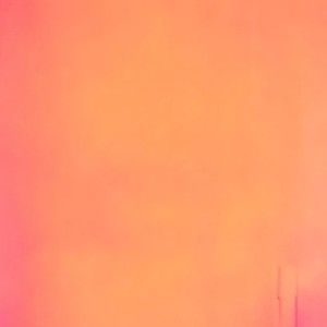 Meet your Posher, Sean